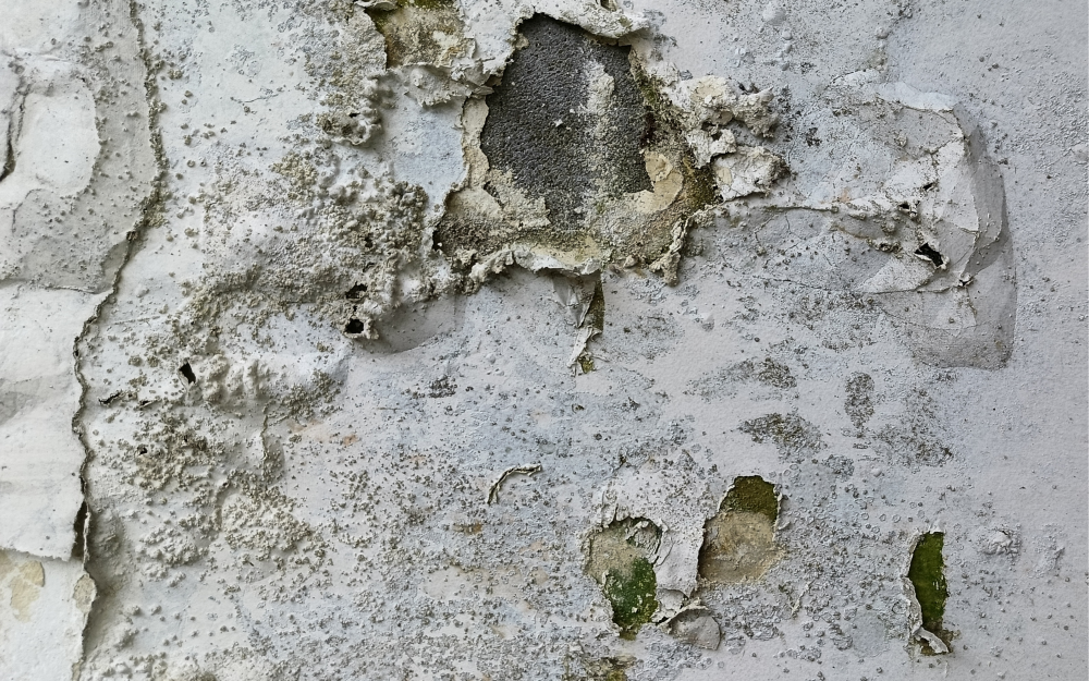 Molding Image